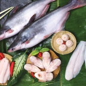 PANGASIUS