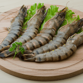 SHRIMP