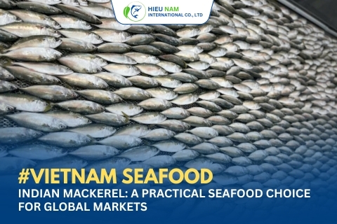 INDIAN MACKEREL: A PRACTICAL SEAFOOD CHOICE FOR GLOBAL MARKETS