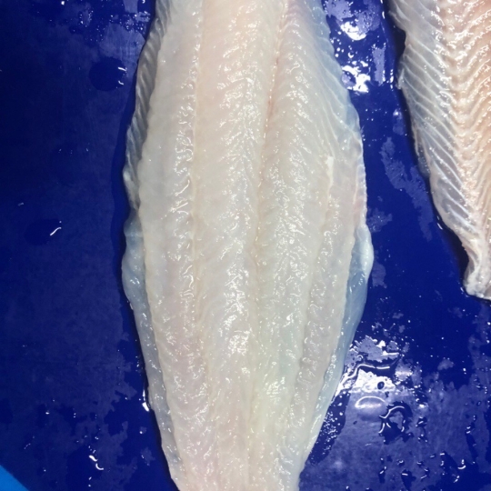 FILLET SEMI-TRIMMED