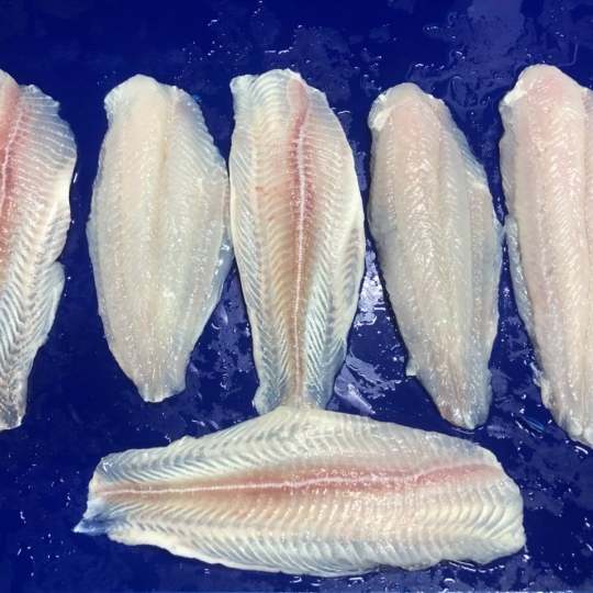 FILLET SEMI-TRIMMED