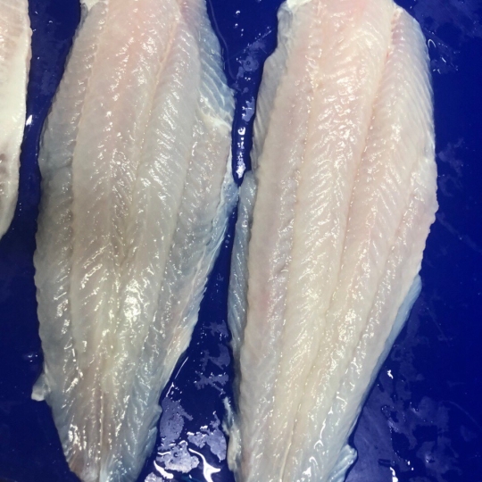 FILLET SEMI-TRIMMED
