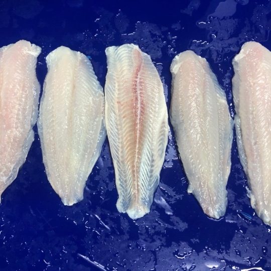 FILLET SEMI-TRIMMED