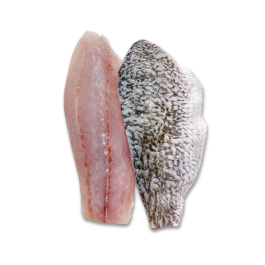 BARRAMUNDI FILLET SKIN-ON