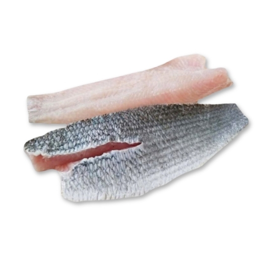 SNAKEHEAD FISH FILLET