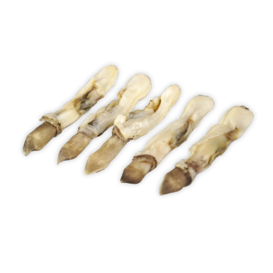 RAZOR CLAM MEAT
